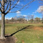 6475 Woodland Hills Drive  Lakewood IL 60014