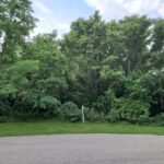 16149 Scenic Court  Wadsworth IL 60083