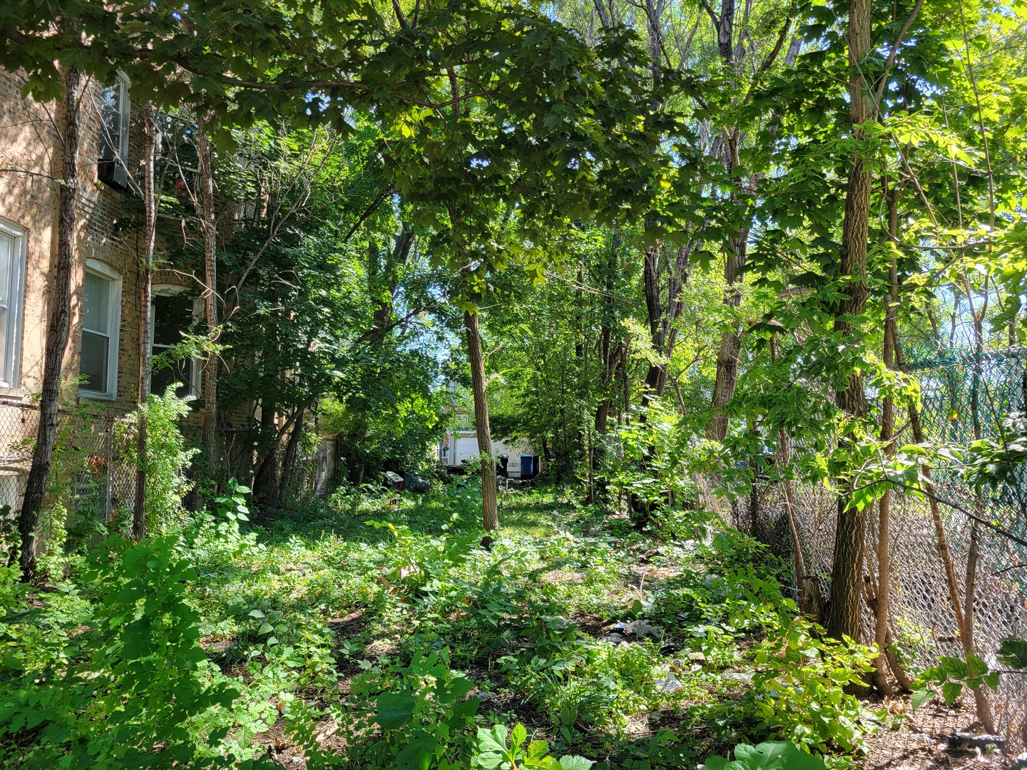 1549 Trumbull Avenue  Chicago IL 60623