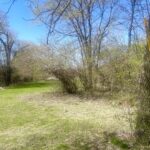 0 Johnson Street  Utica IL 61373