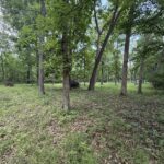 Lot 235 Lake Thunderbird Drive  Tiskilwa IL 61368