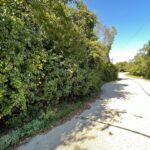 24334 Grandview Drive  Lake Barrington IL 60010