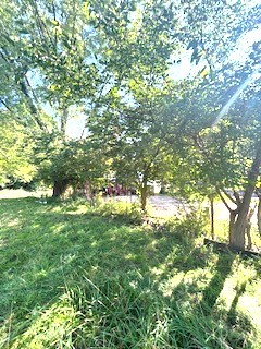 29/303 Woodhaven   Sublette IL 61367