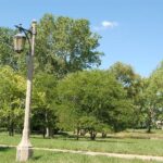 1318 Kajer Lane  Lake Forest IL 60045