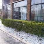 303 Park Avenue 104 Libertyville IL 60048