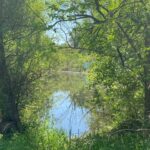 1023 Hooks Lane  Fox Lake IL 60050