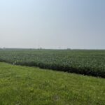 000 Baker Road Manhattan IL 60442