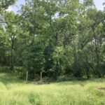 338 Willow Street  New Lenox IL 60451