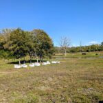 00 S Il Rt 47   Woodstock IL 60098