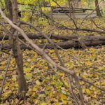 1213 Park Front Street  Joliet IL 60436