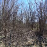 36245 Green Bay Road  Waukegan IL 60087