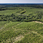 0000 Mayflower Road  Clay City IL 62824