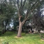 202 155th Place  Calumet City IL 60409