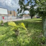 2711 59th Street  Chicago IL 60629