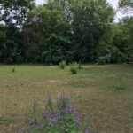 Lot 33A Happy Hollow Road  Janesville WI 53546