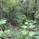 1351 Sheridan Road  Lake Forest IL 60045