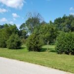 5548 Heatherbrook Trail Monee IL 60449