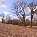 840 Arbor Avenue  West Chicago IL 60185