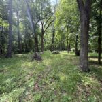 Lot 235 Lake Thunderbird Drive  Tiskilwa IL 61368