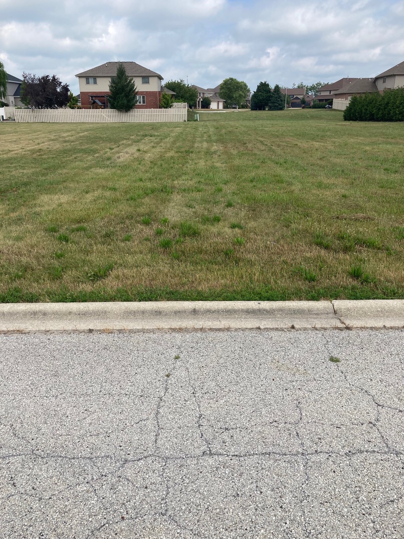 485 Rock Creek Drive  Manteno IL 60950