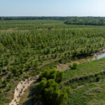 Tract 5 East Radio Tower Road  Clay City IL 62824