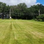 659 Maple Avenue  Mundelein IL 60060