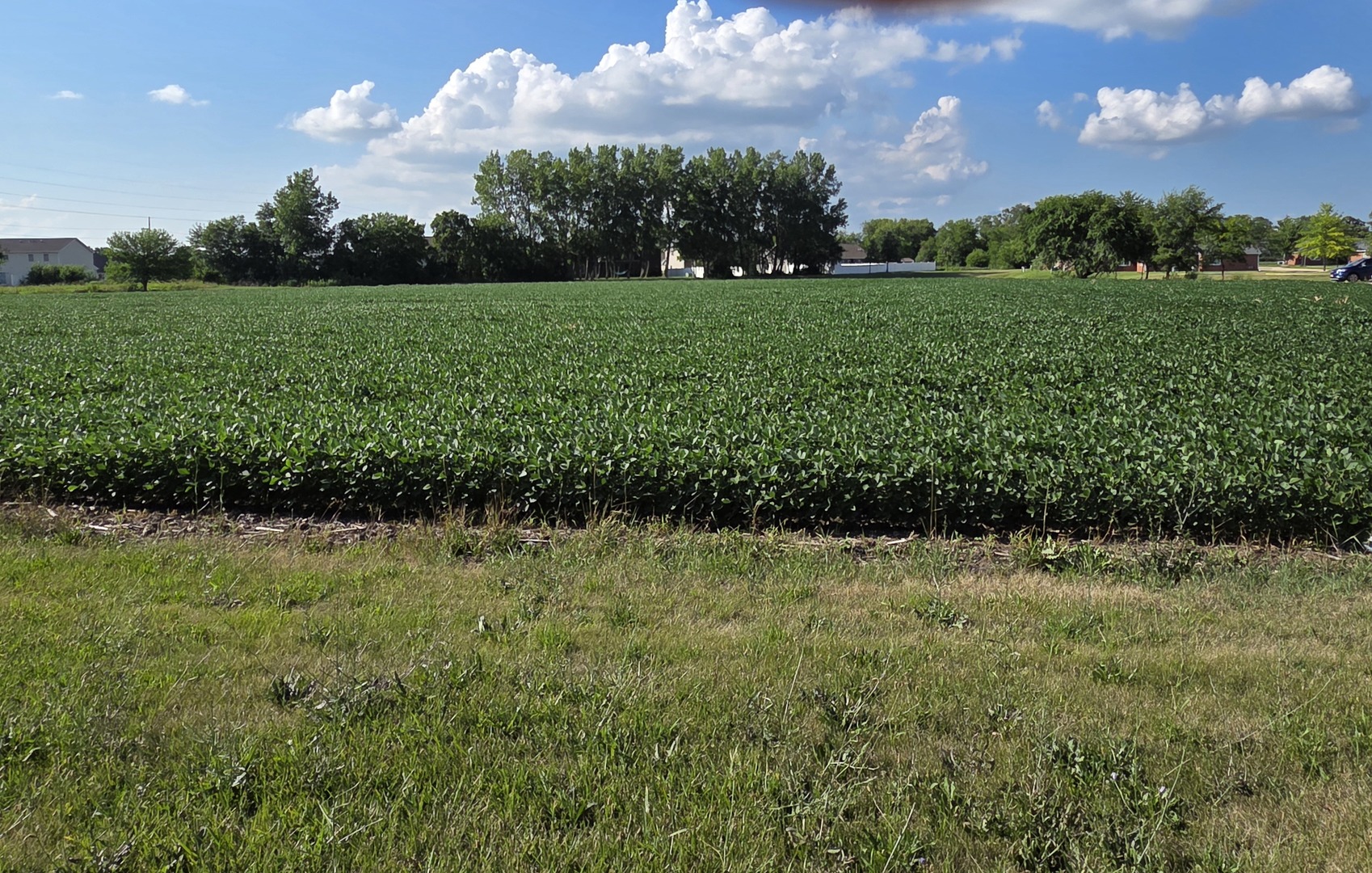 590 Walnut Street  Oglesby IL 61348