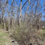 36245 Green Bay Road  Waukegan IL 60087