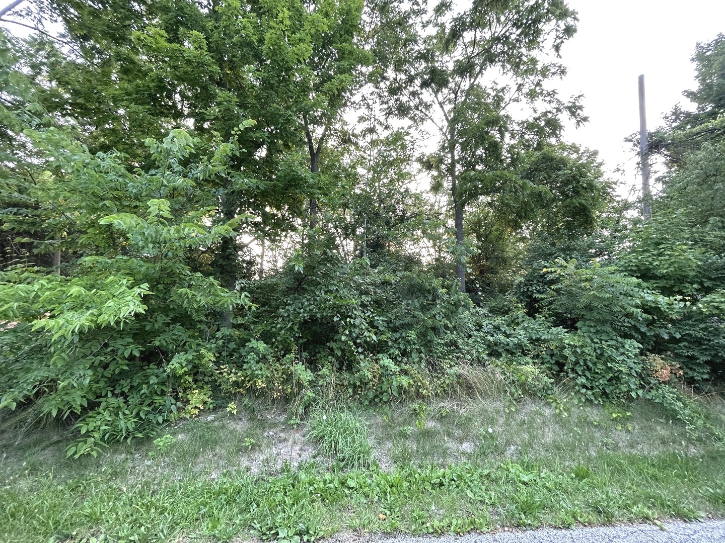 0 Lear Street  Wonder Lake IL 60097