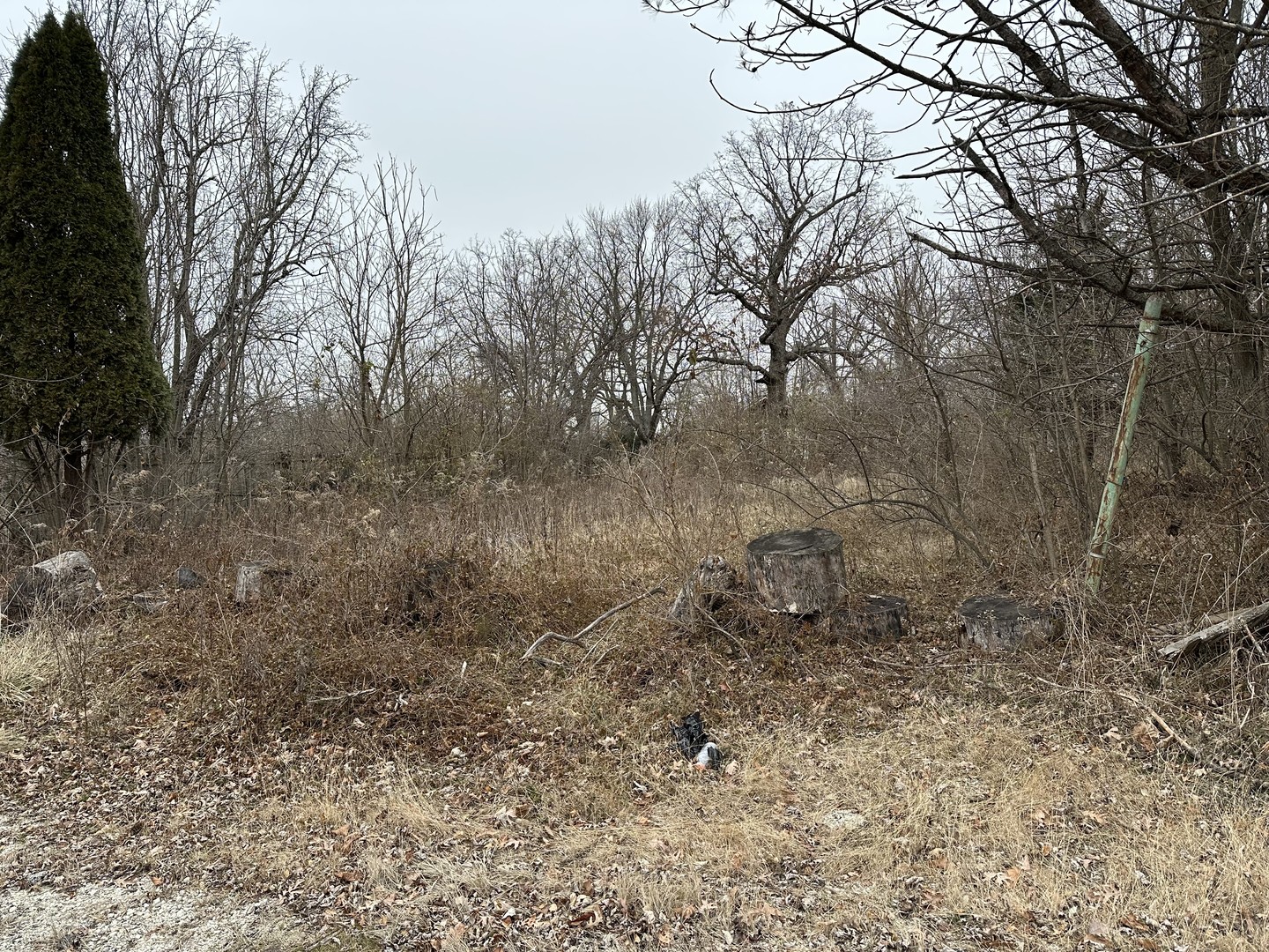 509 Oxford Place  Lockport IL 60441