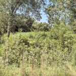 13472 Hart Street  Wadsworth IL 60083