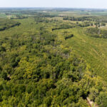 Tract 2 Mint Lane  Clay City IL 62824