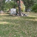 6/45 Woodhaven   Sublette IL 61367