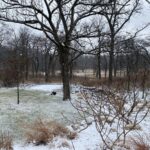 Lot #6 Oakmont Court  Woodstock IL 60098