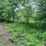 Lot 9-13 Hickory Avenue  Wilmington IL 60481