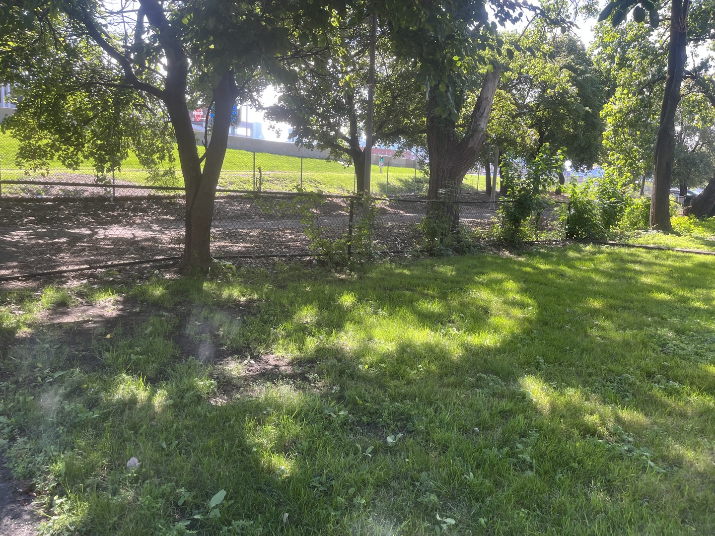 1337 Haddon Avenue  Chicago IL 60622