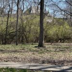 24863 Sterling Oaks Court  Shorewood IL 60404