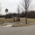 16340 Alberta Court  Homer Glen IL 60491