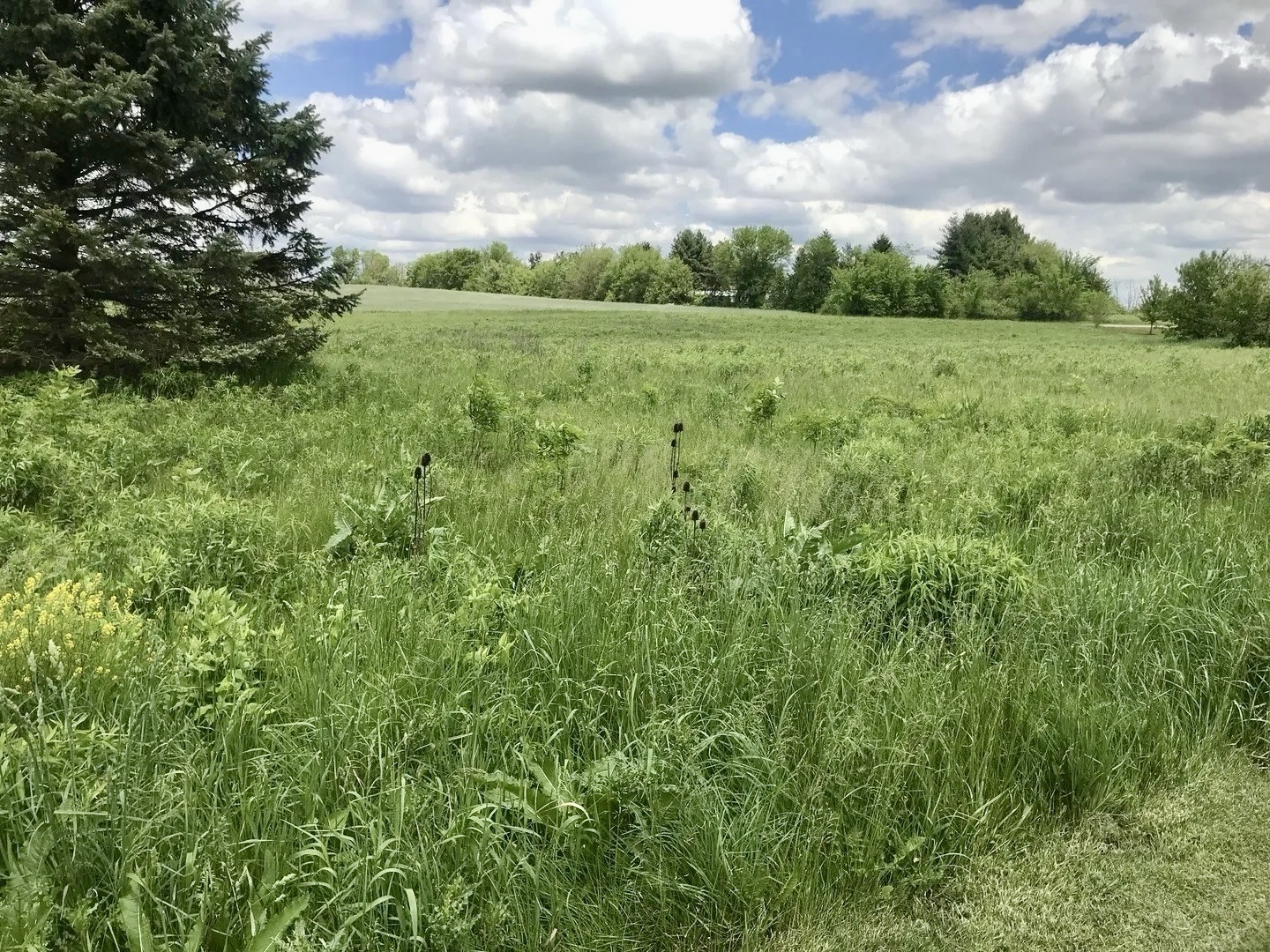 0 Lot 2 Ratfield Road  Marengo IL 60152