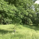 338 Willow Street  New Lenox IL 60451