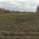 0000 Merchants Street  Essex IL 60935