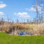 1822 Barthelone Street  Crest Hill IL 60403