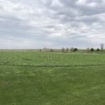 15 Abballee Way  Mendota IL 61342