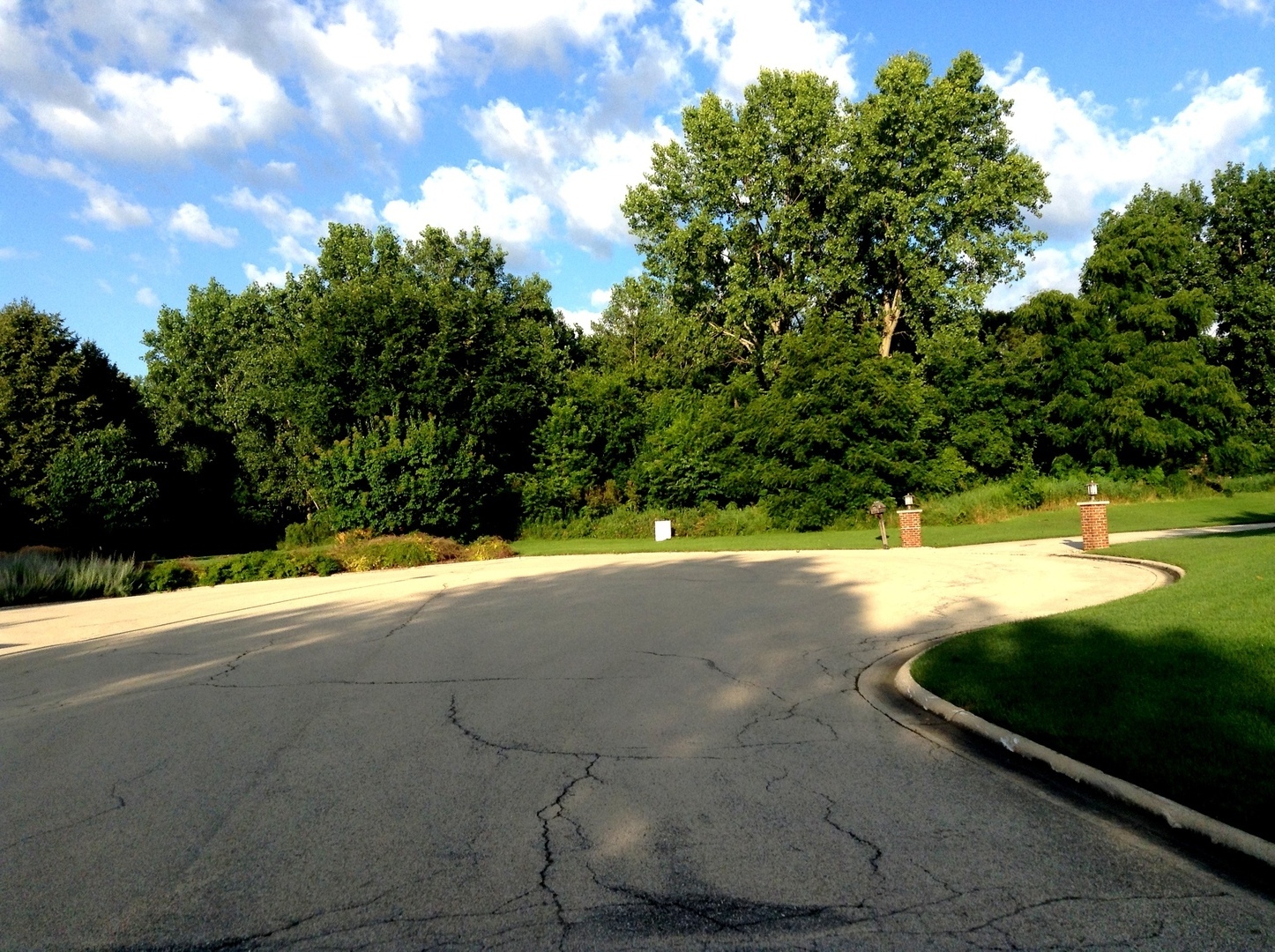 15450 Purley Court Homer Glen IL 60491