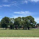 3425 Bernice Avenue  Lansing IL 60438