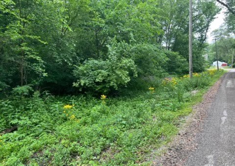 Lot 9-13 Hickory Avenue  Wilmington IL 60481