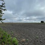 Lot 8 Kyle Street  Ogden IL 61859