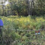 5751 White Pigeon Road  Weldon IL 61882