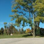379 Woodside Place  Dixon IL 61021