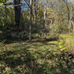 23976 Beach Grove Road  Antioch IL 60002